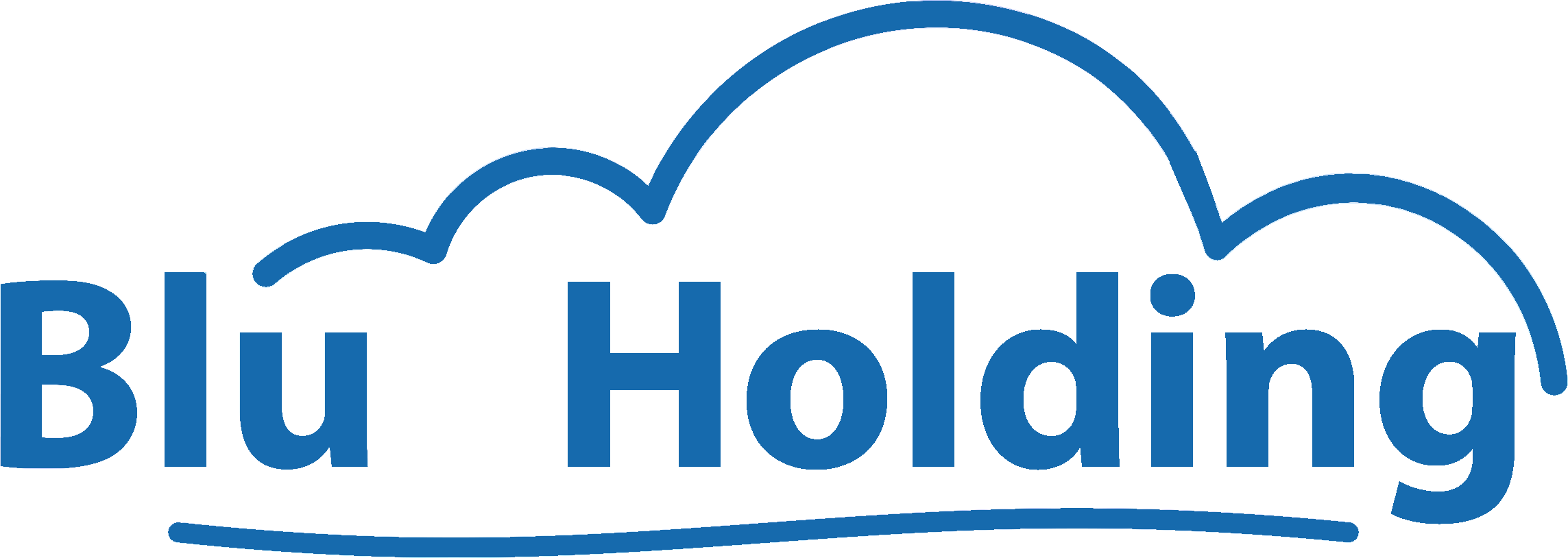 logo bluholding